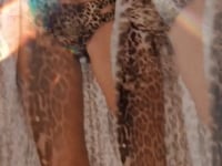 Cargar y reproducir el video en el visor de la galería, Video: Empress Top Top Biquini Angel Leopardo